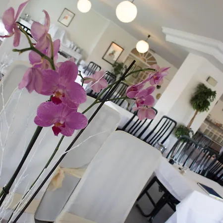 Playamar 3* ラレード